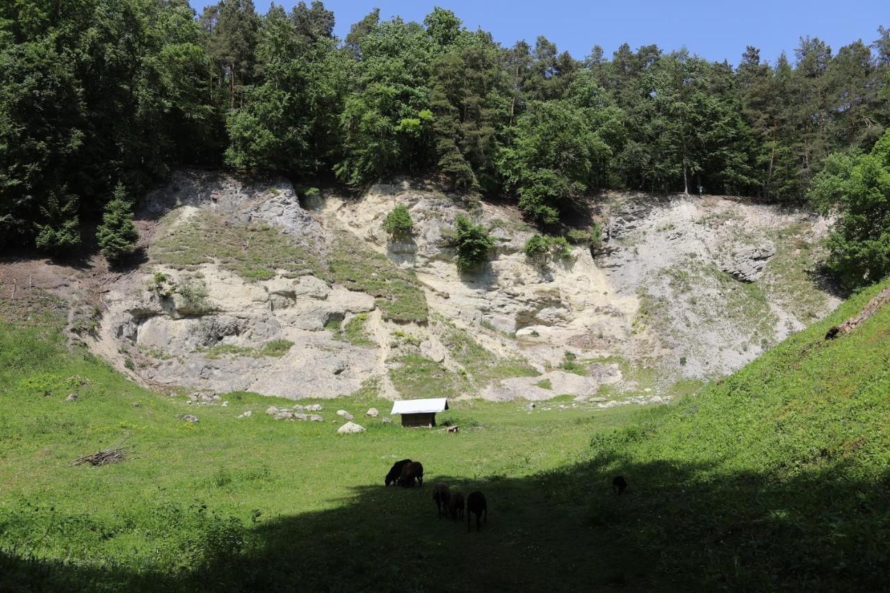 Landgasthof Adler Utzmemmingen Buitenkant foto